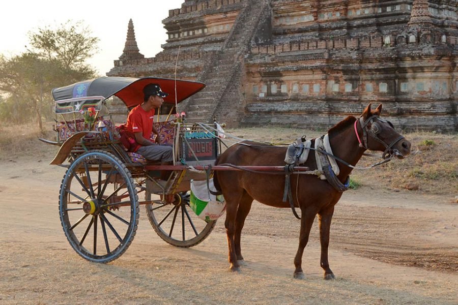 horse and cart in Bagan